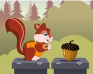 llatkertes - Fun with squirrels