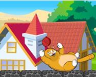 Playful Kitty llatkertes HTML5 jtk